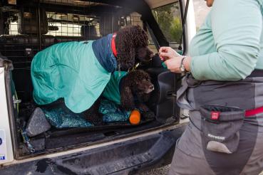 Ruffwear Dirtbag Dog Towel  Aurora Teal Gr. XS